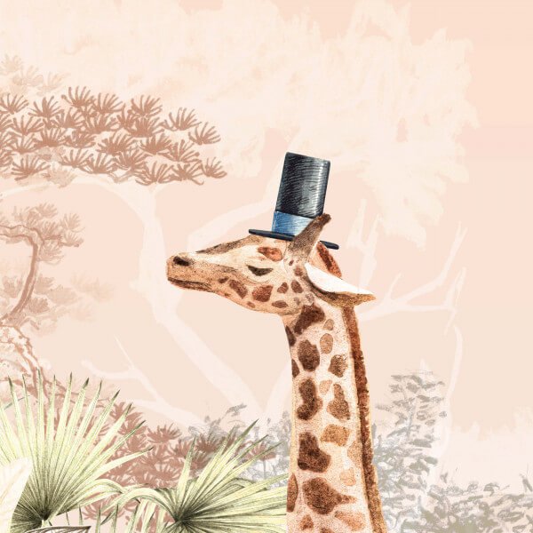 Giraffe - Wallpaper