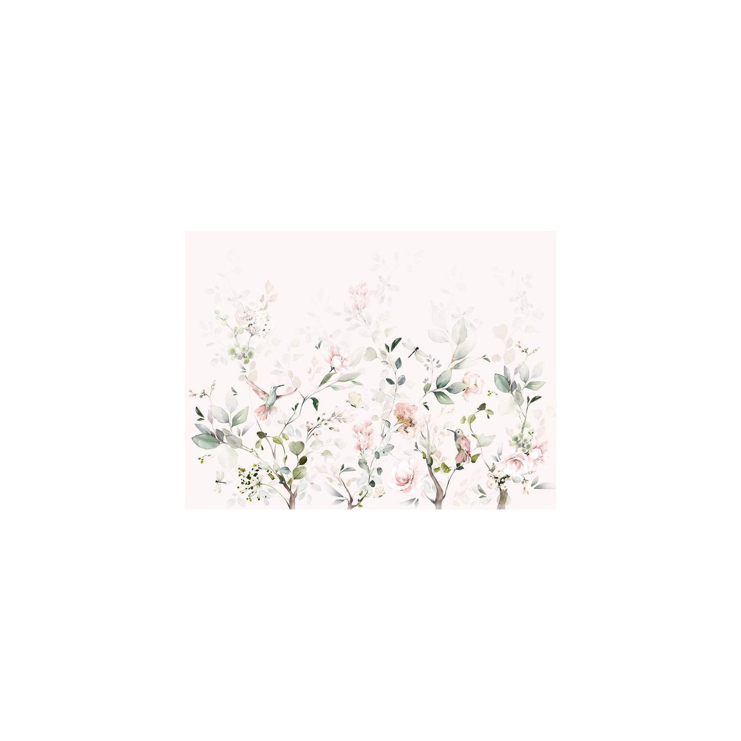 Colibri - Papier peint rose