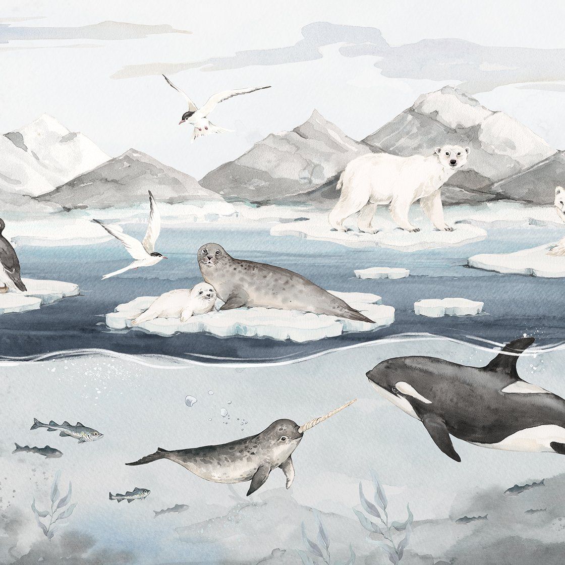 Artic - Fond d'écran