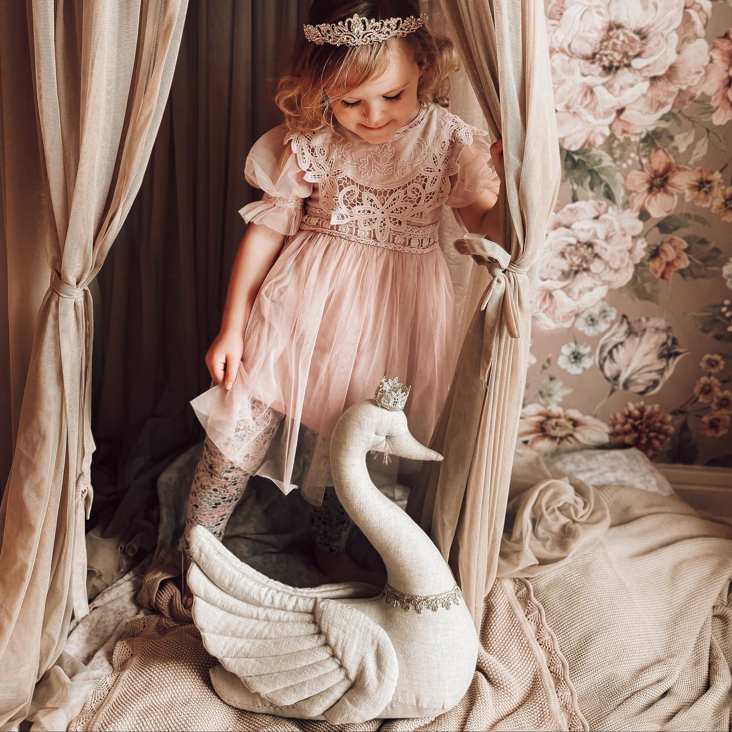 Cygne naturel avec couronne