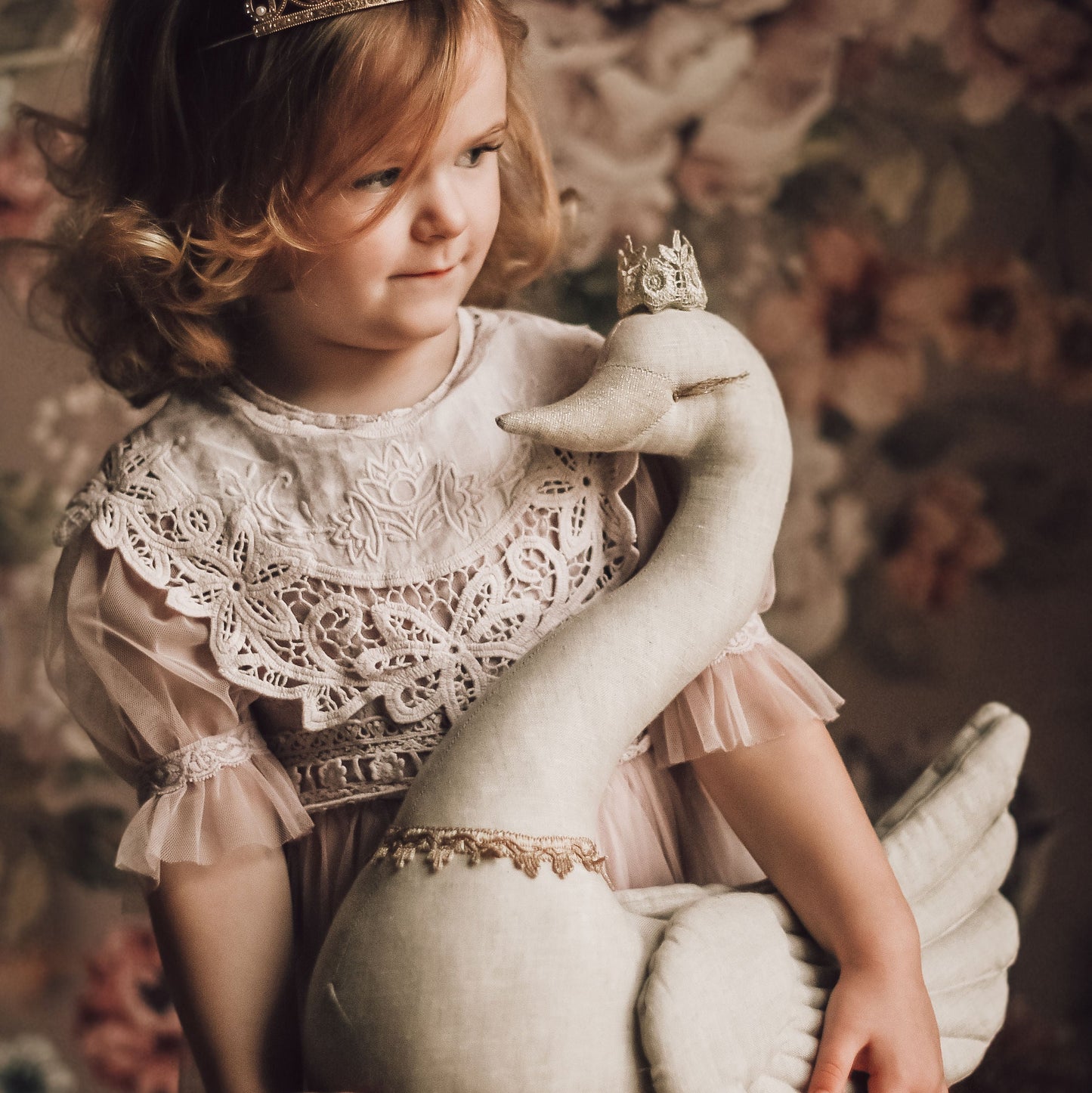 Cygne naturel avec couronne