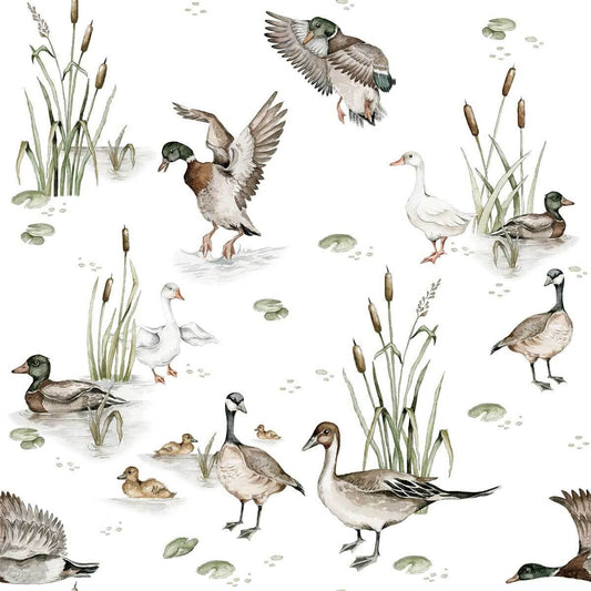 'Ducks Lake ' Behang