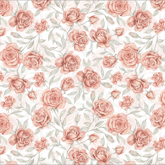 Powder Pink Rose Big- Wallpaper
