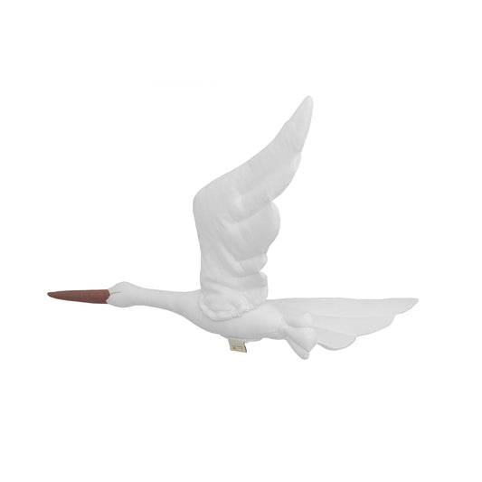 Cigogne blanche