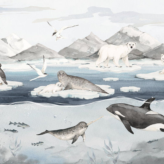 Artic -  Behang
