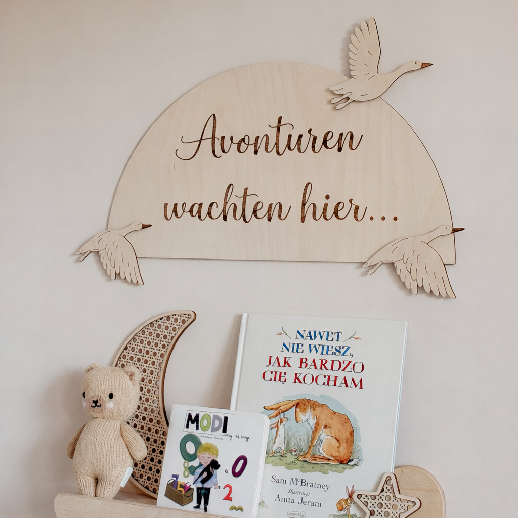 Library / Play corner board - Geese