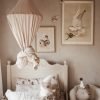 Orso Beige - Collare di polvere - immagine 2