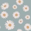 'Tuscan Daisies'-Blaue Tapete